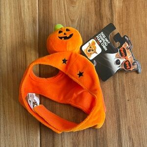 🤍Pumpkin Dog Costume Hat